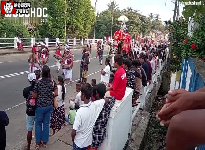 Video :A caretaker is crushed by a rampant elephant during a Sri Lankan event
